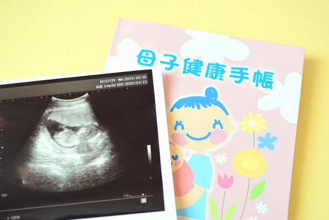 6週目の超音波 エコー 検査の特徴 妊婦が意識したいポイントは Nipt 新型出生前診断 のコラム 平石クリニック