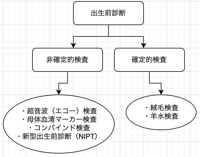 出生前診断とは