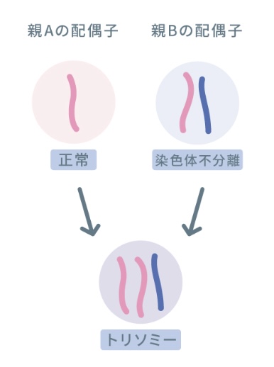 染色体の数の異常