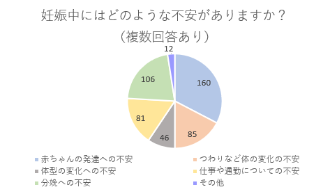 妊娠中にどのような不安がありますか？